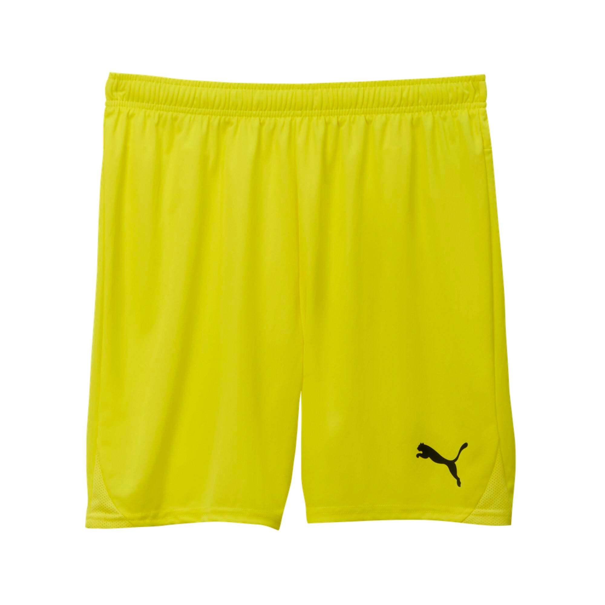 Puma TeamGoal24 Futbol Şort 705752-23