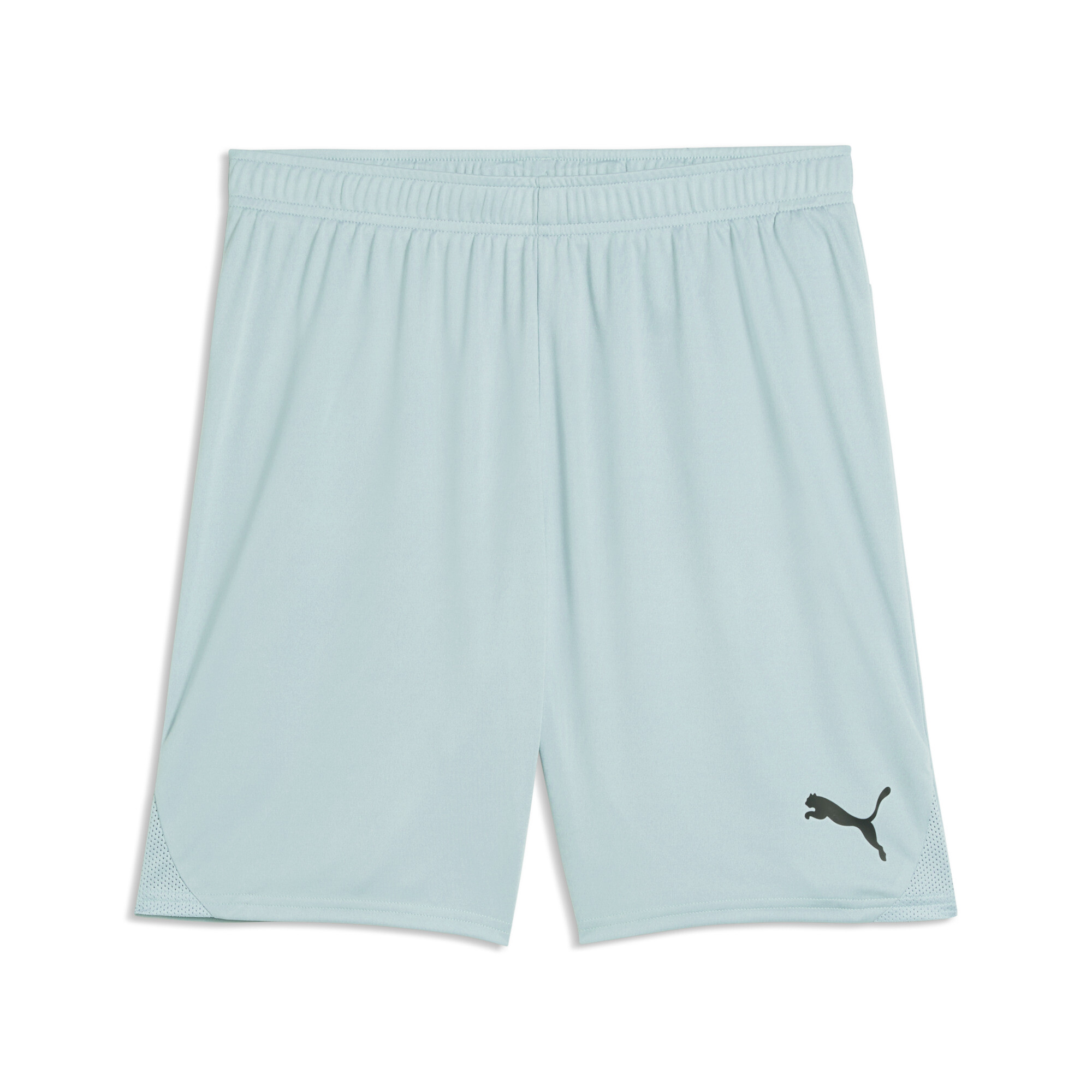 Puma TeamGoal24 Futbol Şort 705752-41