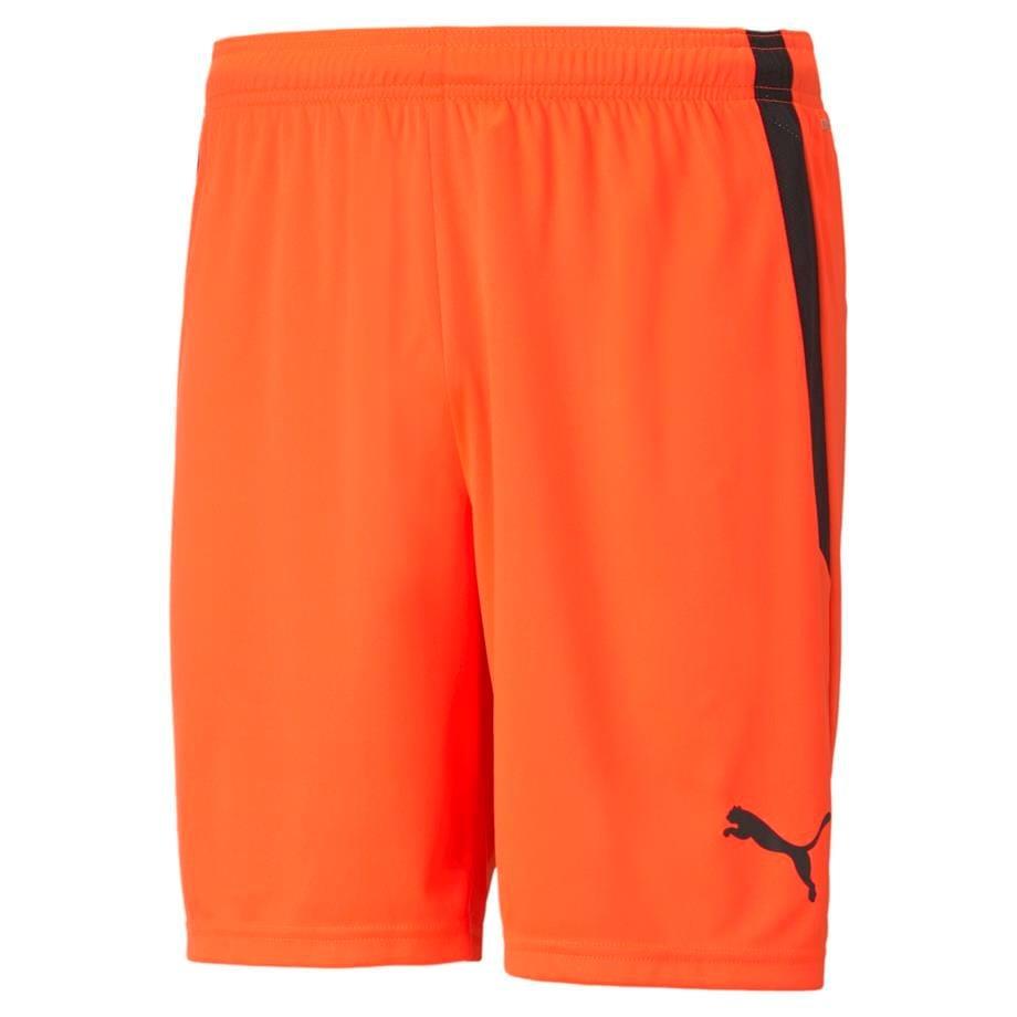 Puma TeamLiga Şort 704924-45
