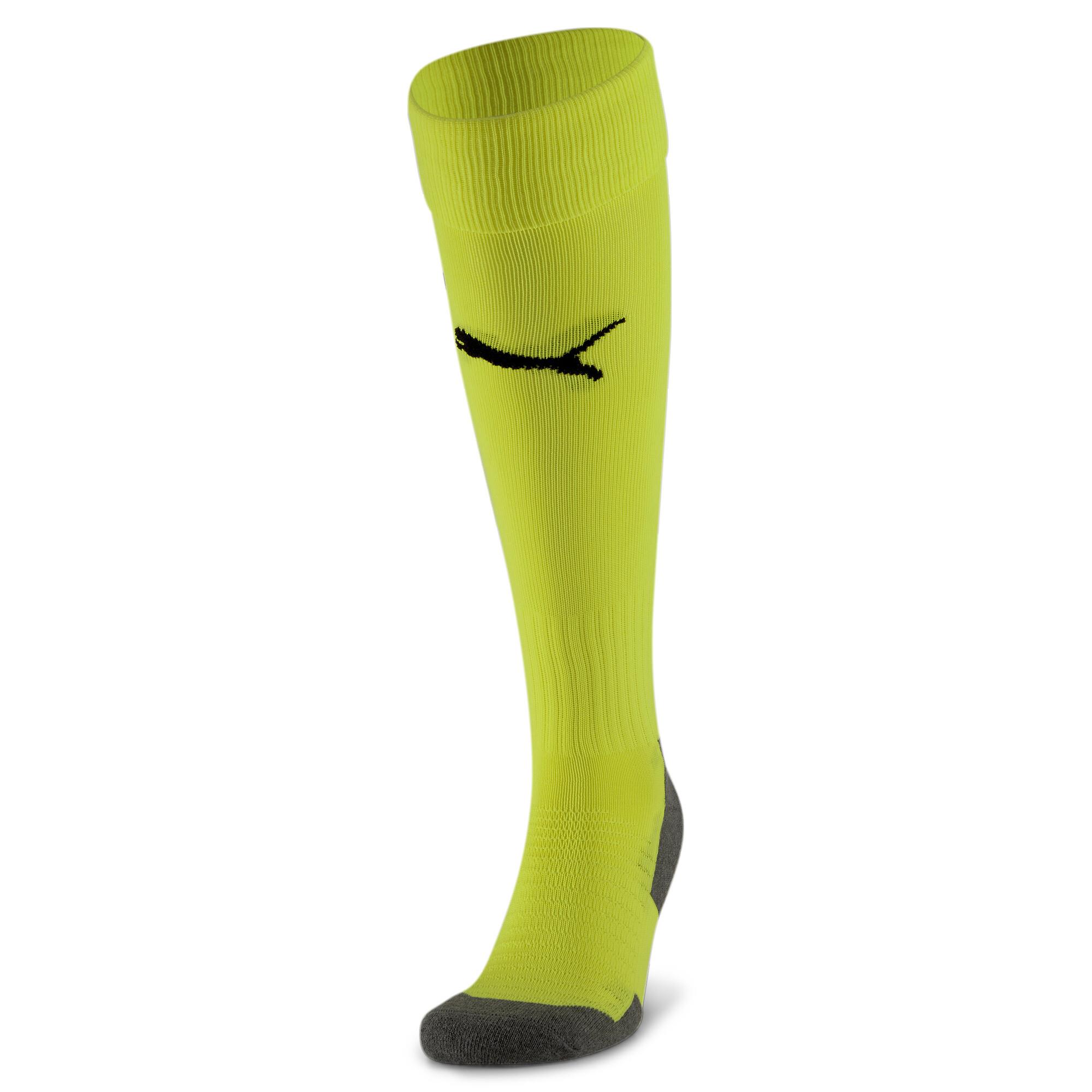 Puma TeamLiga Tozluk 703441-33