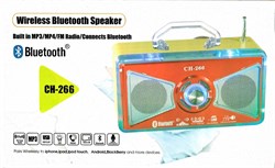 Forland CH-266 FM Radyo Müzik Çalar Bluetooth