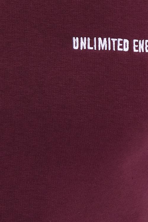 Erkek Relax Fit Pamuklu 3 İplik Yumuşak Dokulu İçi Polarlı Bisiklet Yaka Bordo Eşofman Takımı