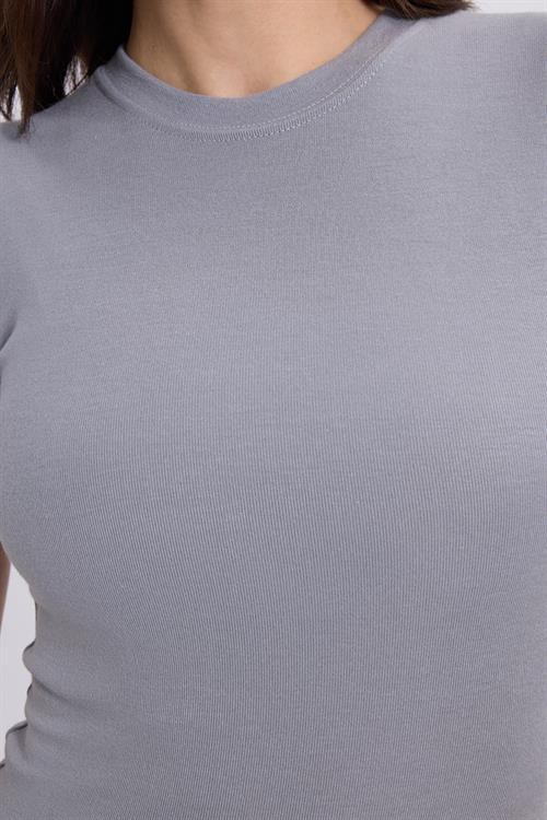 Kadın Regular Fit Klasik Kesim Bisiklet Yaka Viskon Kumaş Ultra Soft Gri Tişört