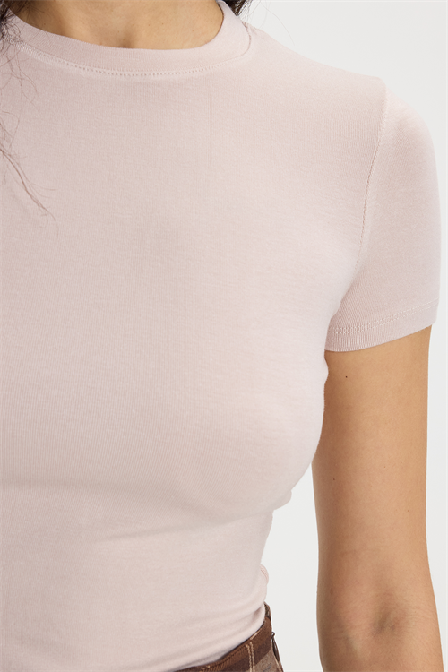 Kadın Slim Fit Dar Kesim Pamuklu Kısa Kollu Bisiklet Yaka Pembe Tişört