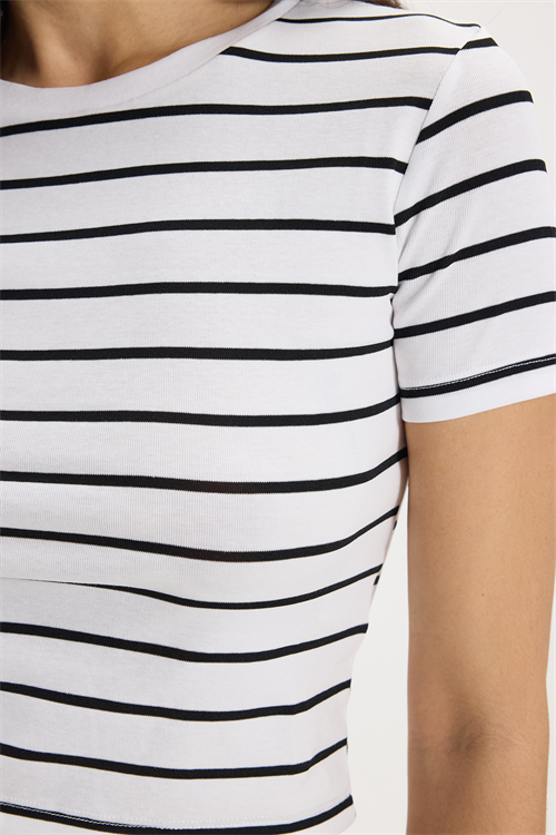 Kadın Slim Fit Dar Kesim Pamuklu  Yumuşak Dokulu Kısa Kollu Bisiklet Yaka Beyaz Tişört