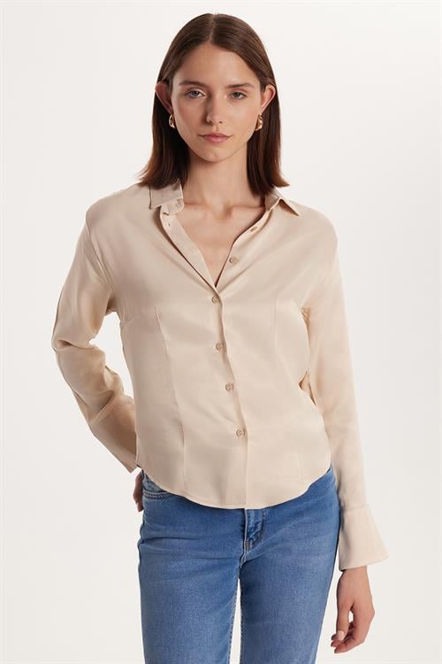 Kadın Slim Fit Dar Kesim Uzun Kollu Klasik Yaka Saten Taş Rengi Gömlek