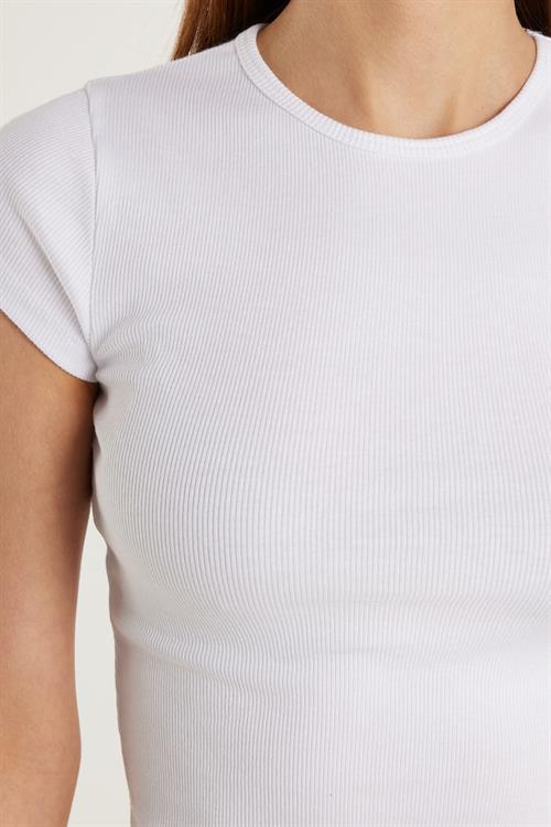 Kadın Modal Kumaş Slim Fit Dar Kesim Kısa Kollu Bisiklet Yaka Beyaz Tişört