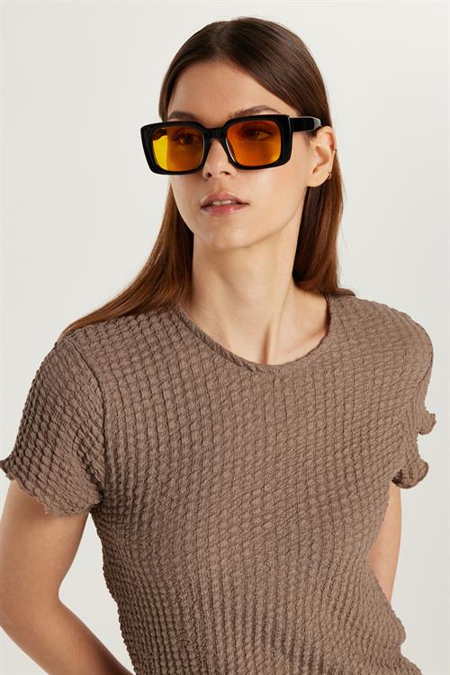 Kadın Slim Fit Dar Kesim Kısa Kollu Bisiklet Yaka Vizon Tişört
