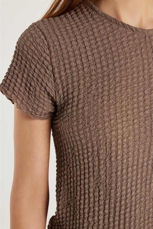 Kadın Slim Fit Dar Kesim Kısa Kollu Bisiklet Yaka Vizon Tişört