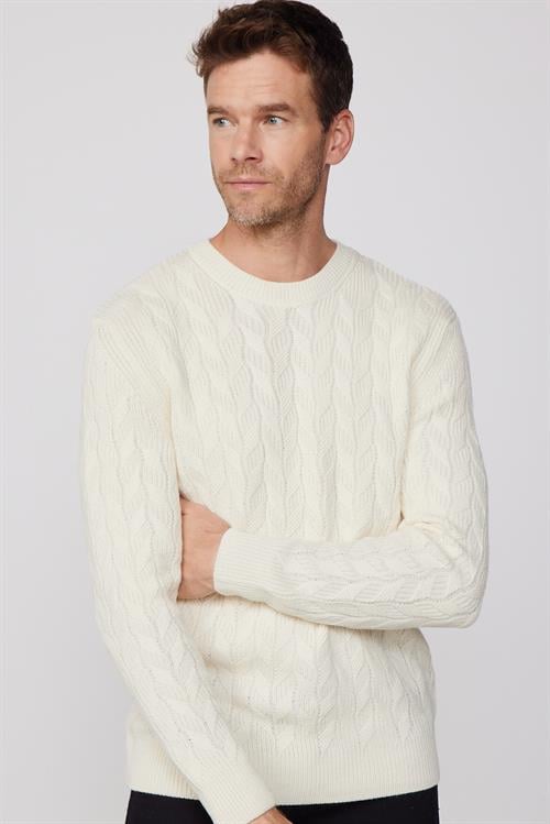 Slim Fit Bisiklet Yaka Desenli Ekru Erkek Triko Kazak