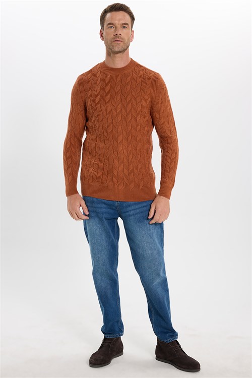 Slim Fit Bisiklet Yaka Desenli Tarçın Erkek Triko Kazak