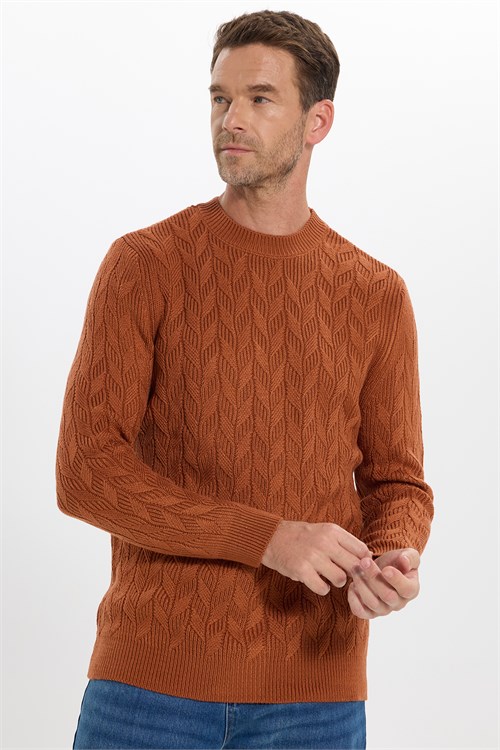 Slim Fit Bisiklet Yaka Desenli Tarçın Erkek Triko Kazak