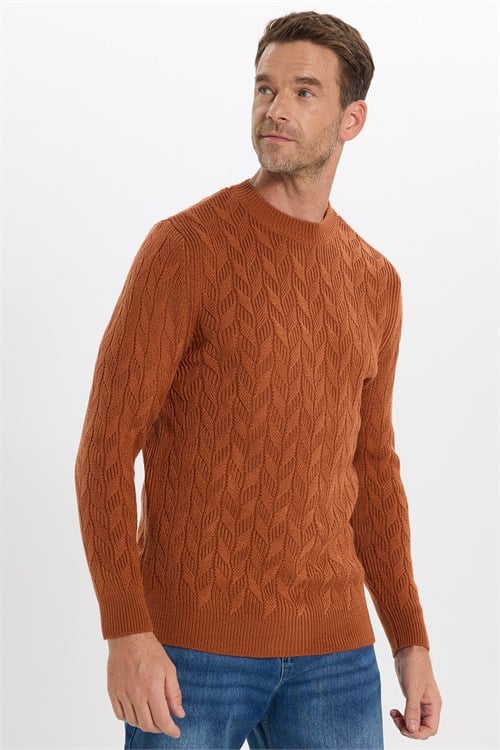 Slim Fit Bisiklet Yaka Desenli Tarçın Erkek Triko Kazak