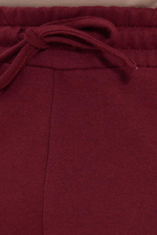 Erkek Regular Fit Klasik Kesim Beli Bağcıklı Jogger Cepli Lastikli Paça Bordo Eşofman Altı