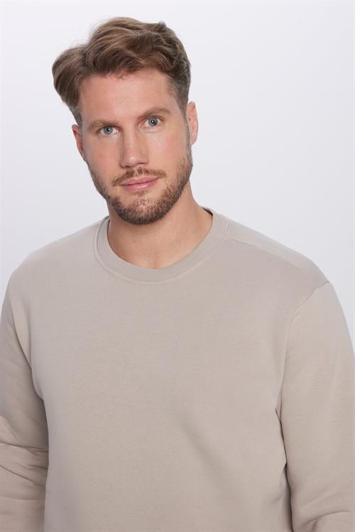 Unisex Relax Fit Rahat Kesim Pamuklu 3 İplik İçi Polarlı Basic Gri Bisiklet Yaka Sweatshirt