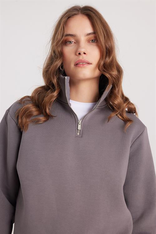 Kadın Relax Fit Rahat Kesim Pamuklu İçi Polarlı Yarım Fermuarlı Gri Dik Yaka Sweatshirt