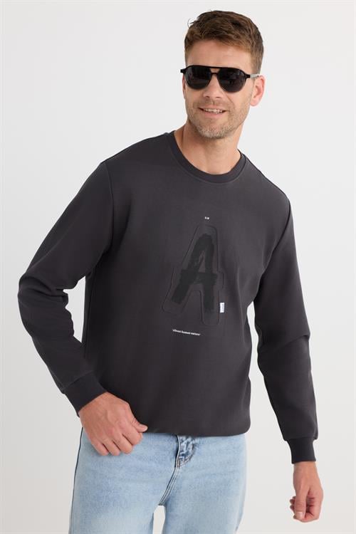 Unisex Relax Fit Pamuklu Yumuşak Dokulu Bisiklet Yaka İçİ Polarlı Baskılı Antrasit Sweatshirt​​​​​​​