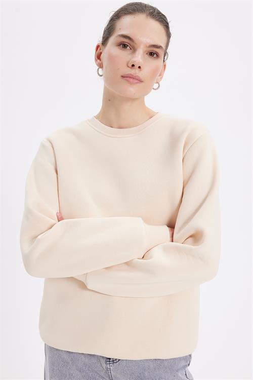 Kadın Oversize Geniş Kesim Pamuklu 3 İplik İçi Polarlı Basic Bej Bisiklet Yaka Sweatshirt