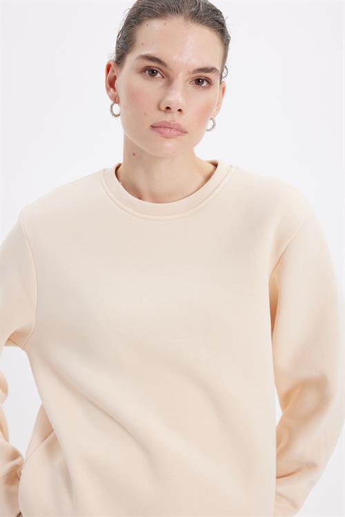 Kadın Oversize Geniş Kesim Pamuklu 3 İplik İçi Polarlı Basic Bej Bisiklet Yaka Sweatshirt