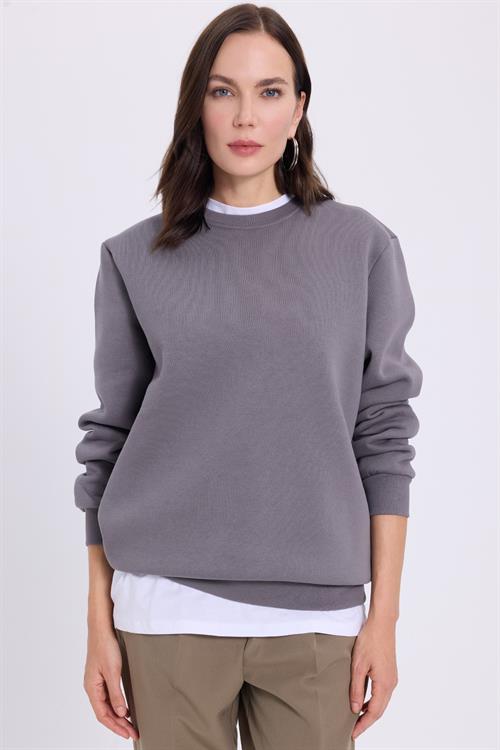Kadın Oversize Geniş Kesim Pamuklu 3 İplik İçi Polarlı Basic Gri Bisiklet Yaka Sweatshirt