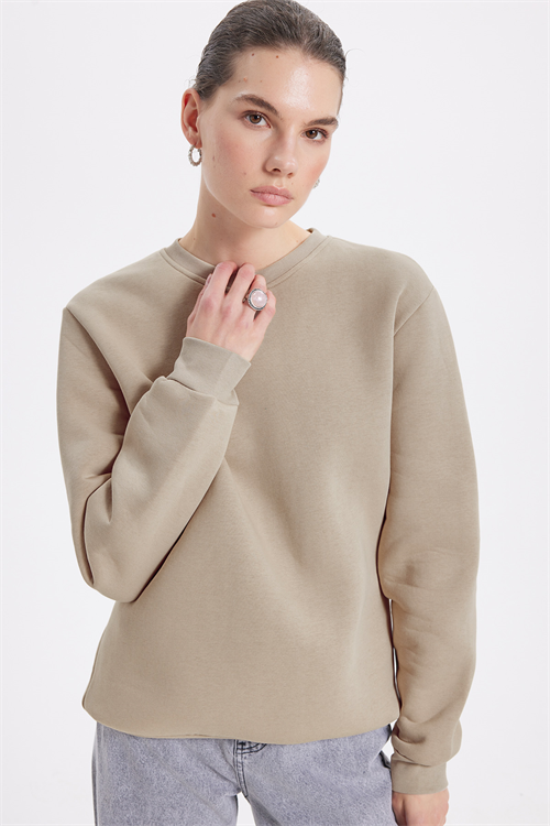 Kadın Oversize Geniş Kesim Pamuklu 3 İplik İçi Polarlı Basic Taş Bisiklet Yaka Sweatshirt