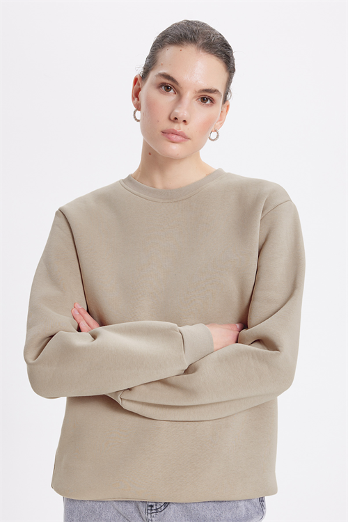 Kadın Oversize Geniş Kesim Pamuklu 3 İplik İçi Polarlı Basic Taş Bisiklet Yaka Sweatshirt