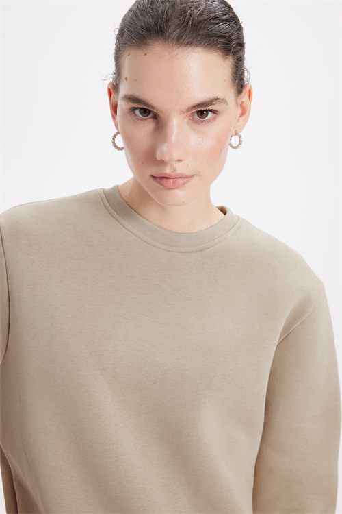 Kadın Oversize Geniş Kesim Pamuklu 3 İplik İçi Polarlı Basic Taş Bisiklet Yaka Sweatshirt