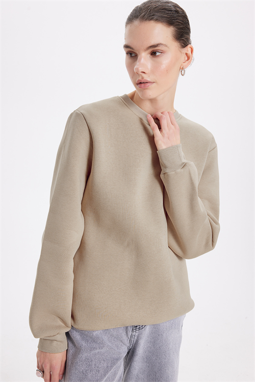 Kadın Oversize Geniş Kesim Pamuklu 3 İplik İçi Polarlı Basic Taş Bisiklet Yaka Sweatshirt