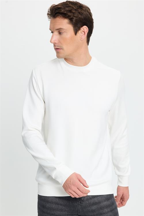 Erkek Standart Fit Normal Kesim Uzun Kollu Ekstra Soft Modal Kumaş Bisiklet Yaka Ekru Sweatshirt