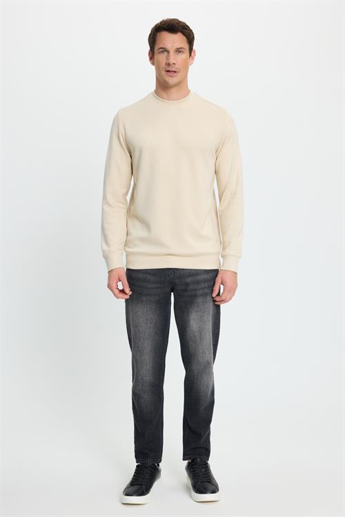 Erkek Standart Fit Normal Kesim Uzun Kollu Ekstra Soft Modal Kumaş Bisiklet Yaka Kemik Rengi Sweatshirt