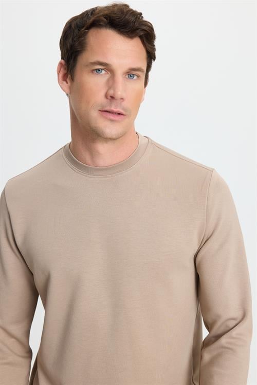 Erkek Standart Fit Normal Kesim Uzun Kollu Ekstra Soft Modal Kumaş Bisiklet Yaka Vizon Sweatshirt