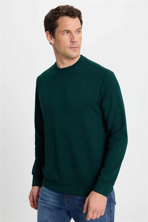 Erkek Standart Fit Normal Kesim Uzun Kollu Ekstra Soft Modal Kumaş Bisiklet Yaka Yeşil Sweatshirt