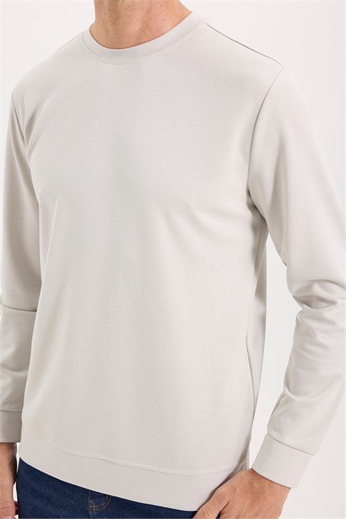 Erkek Standart Fit Normal Kesim Uzun Kollu Ekstra Soft Modal Kumaş Bisiklet Yaka Taş Sweatshirt