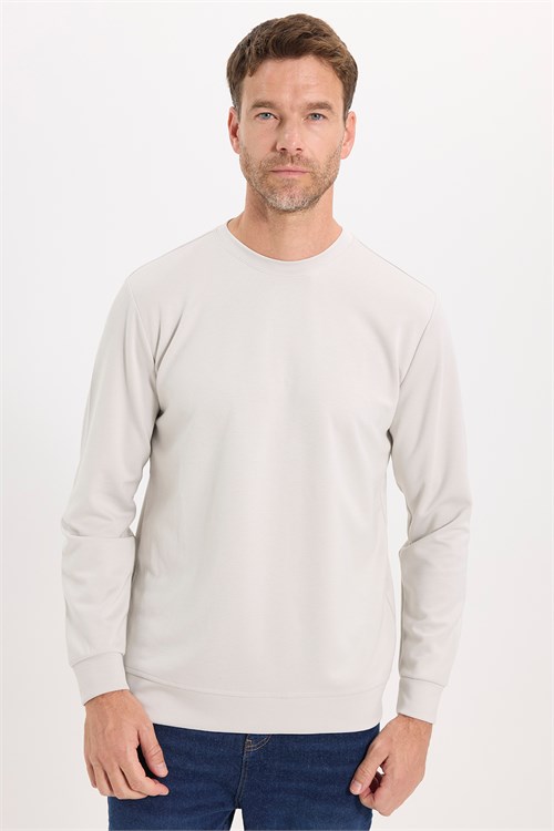 Erkek Standart Fit Normal Kesim Uzun Kollu Ekstra Soft Modal Kumaş Bisiklet Yaka Taş Sweatshirt