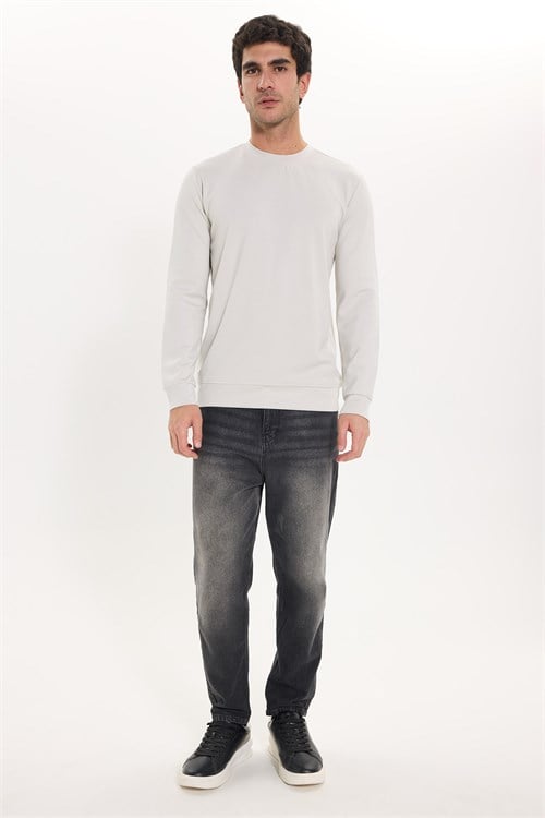 Erkek Standart Fit Normal Kesim Uzun Kollu Ekstra Soft Modal Kumaş Bisiklet Yaka Taş Sweatshirt