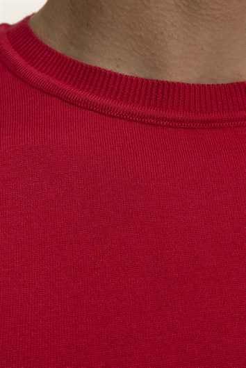 Erkek Slim Fit Dar Kesim Pamuklu Örme Triko Nar Renk Bisiklet Yaka Tişört