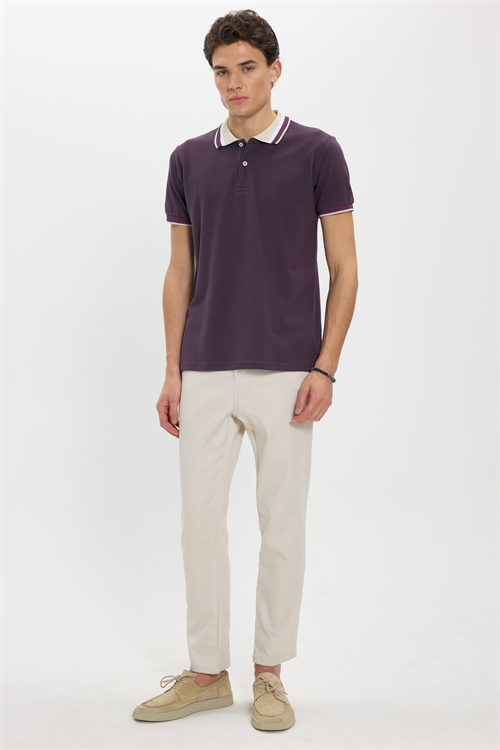 Erkek Slim Fit Dar Kesim %100 Pamuk Eflatun Polo Yaka Tişört