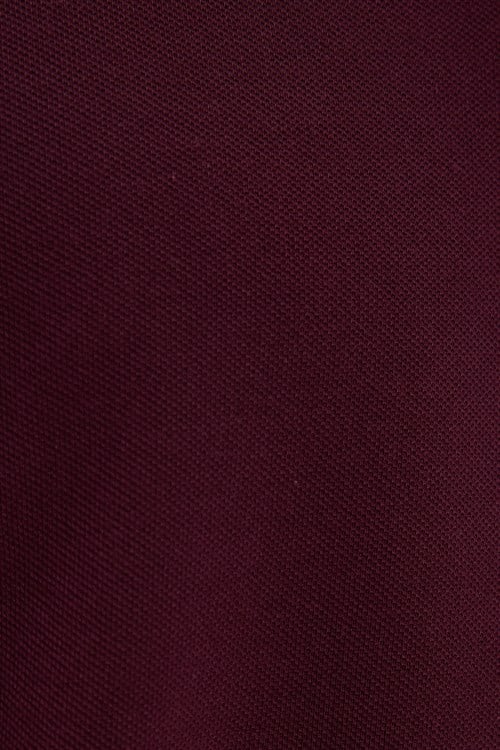 Erkek Slim Fit Dar Kesim %100 Pamuklu Çizgili Detaylı V Yaka Bordo Polo Yaka Tişört