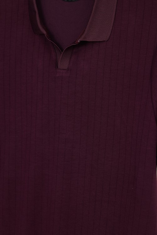 Erkek Slim Fit Dar Kesim Pamuklu Kısa Kollu Çizgili Bordo Polo V Yaka Tişört