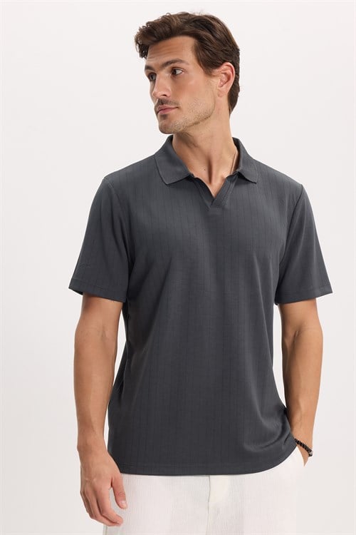 Erkek Slim Fit Dar Kesim Pamuklu Kısa Kollu Çizgili Antrasit Polo V Yaka Tişört