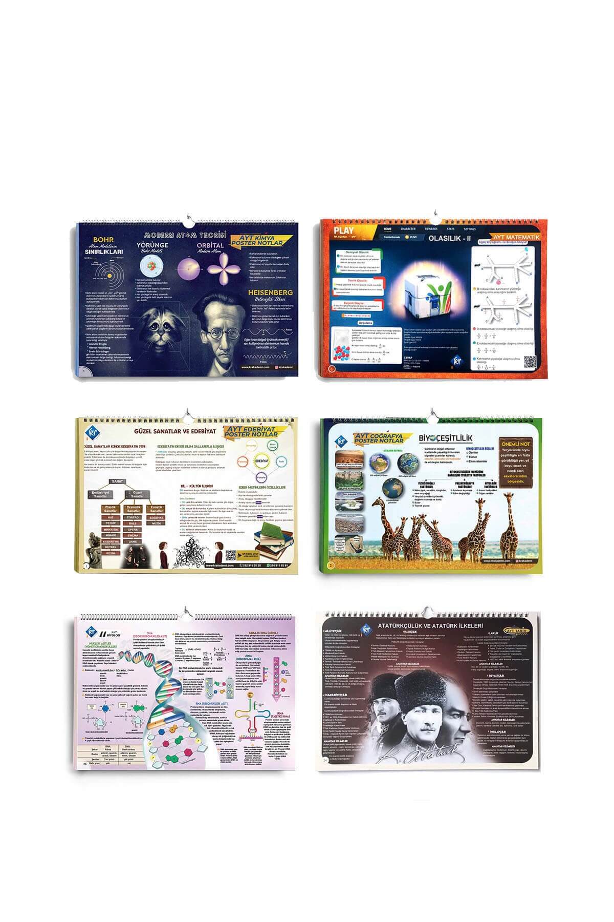AYT Poster Notlar Seti