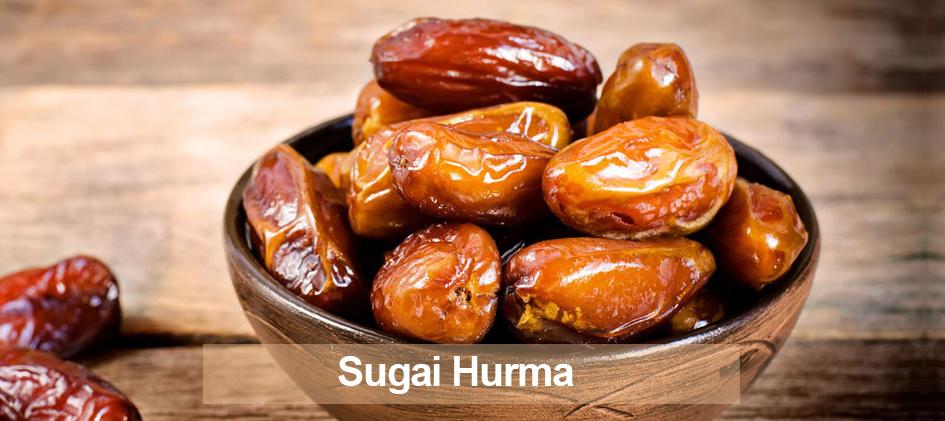 Sugai Hurma - Sugai Hurmanın Faydaları