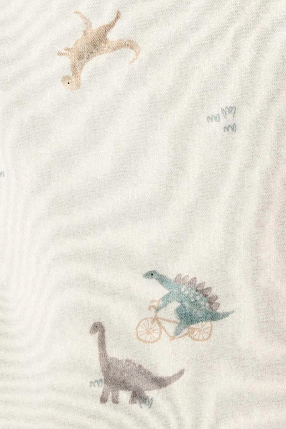 CARTERS ERKEK BEBEK 3LÜ SET