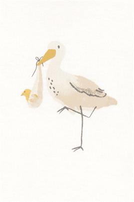 CARTERS BEBEK 3LÜ SET