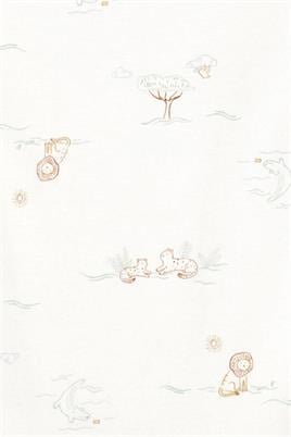 CARTERS ERKEK BEBEK 5Lİ KISA KOL BODY SET