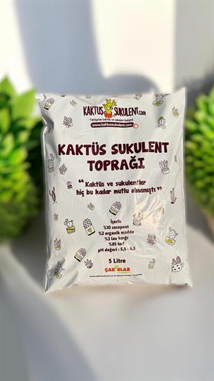 Kaktüs Sukulent için Toprak