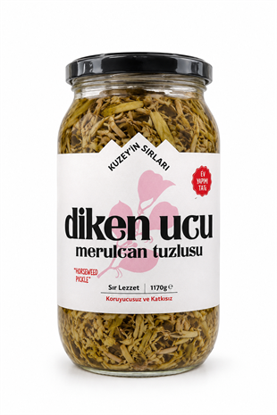 Dikenucu (Merulcan) Tuzlusu 