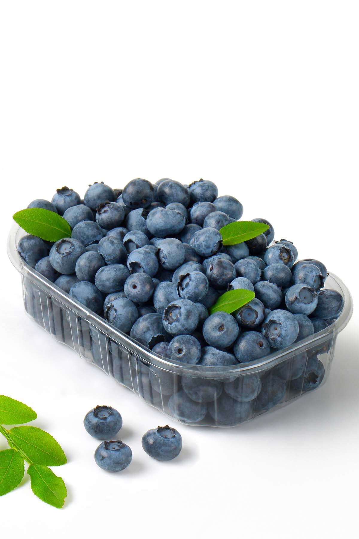 Doğal Yaban Mersini (1000gr)