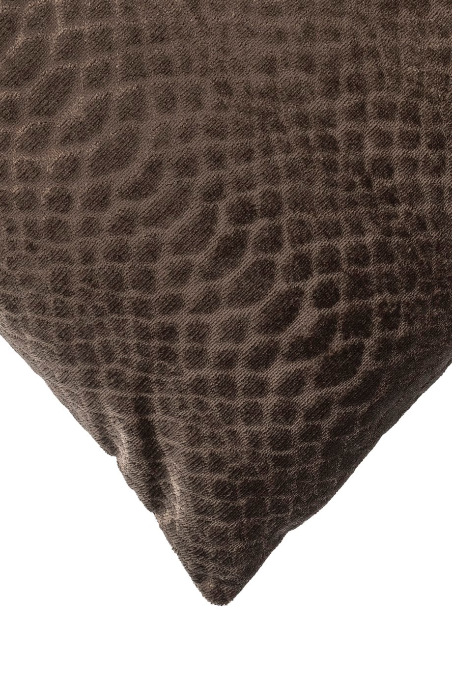 Warm Winter Krokodil Baskılı Koyu Antrasit Rengi 45x45 cm Kare Kadife Kırlent Kılıfı