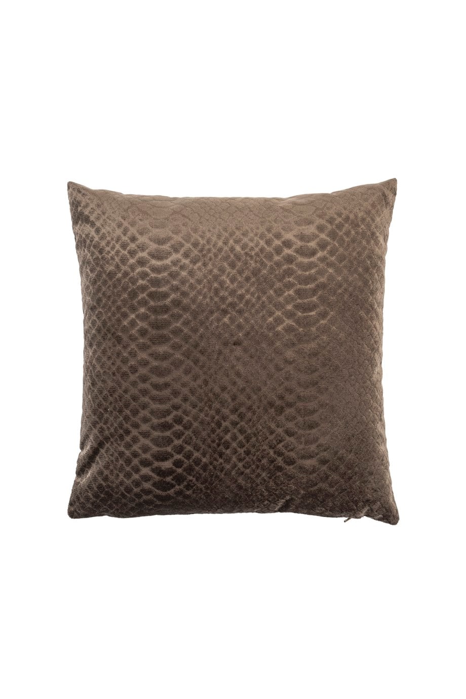 Warm Winter Krokodil Baskılı Koyu Antrasit Rengi 45x45 cm Kare Kadife Kırlent Kılıfı